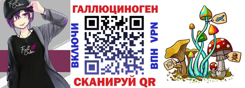 Галлюциногенные грибы Psilocybe  где найти   Калининск 